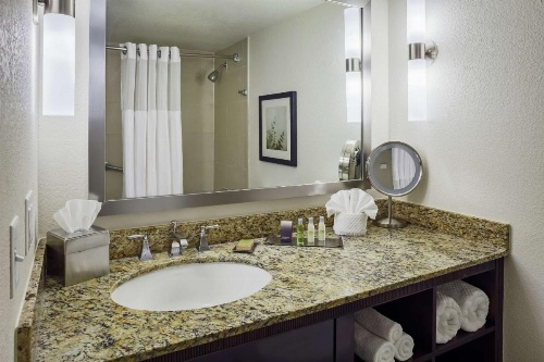 DoubleTree By Hilton Hotel San Antonio Downtown image 17